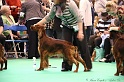 Crufts2011 872